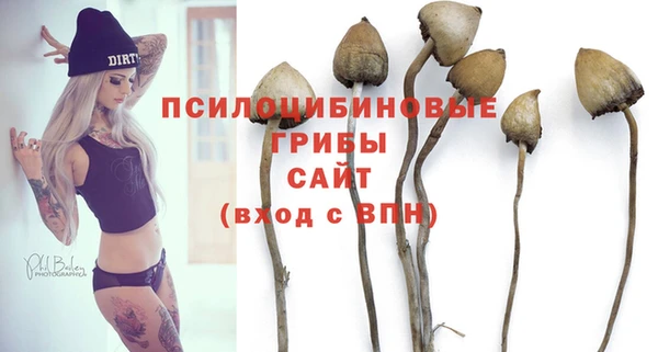 mdpv Балахна